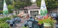 Gasthaus / Restaurant mit Beherbergung / Bungalows & Wohnmobilstellplätzen in Thüringen Thüringen - Königsee Vorschau