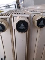 Heizkörper inkl Danfoss-Thermostat Bayern - Buchloe Vorschau