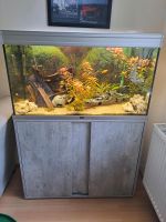 Komplettes aquarium zu Verkaufen Mecklenburg-Vorpommern - Siedenbollentin Vorschau