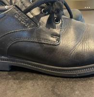 Geox Anzug Schuhe Größe 37 Baden-Württemberg - Ketsch Vorschau