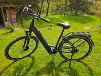 E-Bike: PEGASUS Solero EVO 8R, Tiefeinsteiger (gebraucht, Privat) Bayern - Leidersbach Vorschau