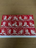 Panini EM Euro 2016 France Sticker Coca Cola Edition Schleswig-Holstein - Wees Vorschau