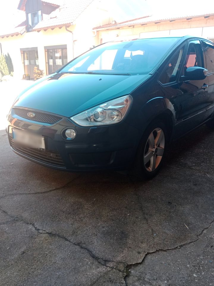 Ford s max in Mintraching