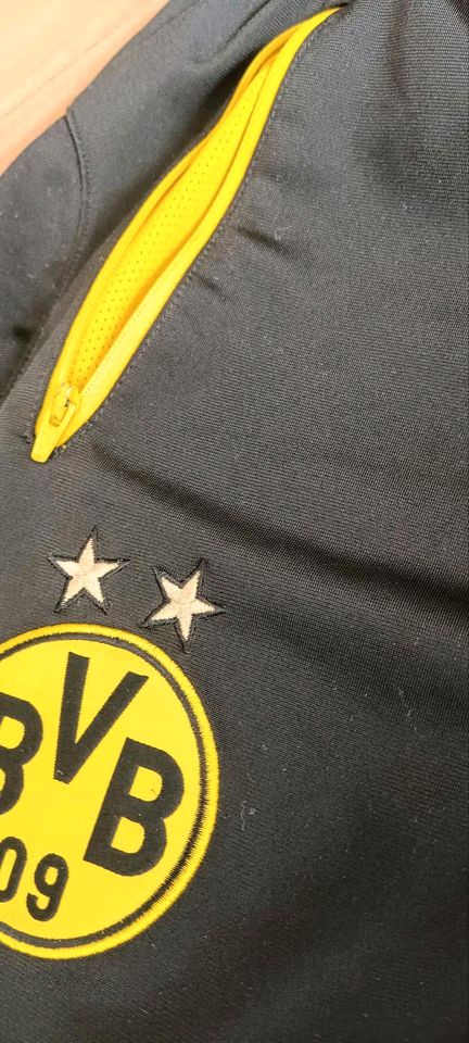 BVB Puma Borussia Dortmund Trainingshose Gr M in Stuttgart