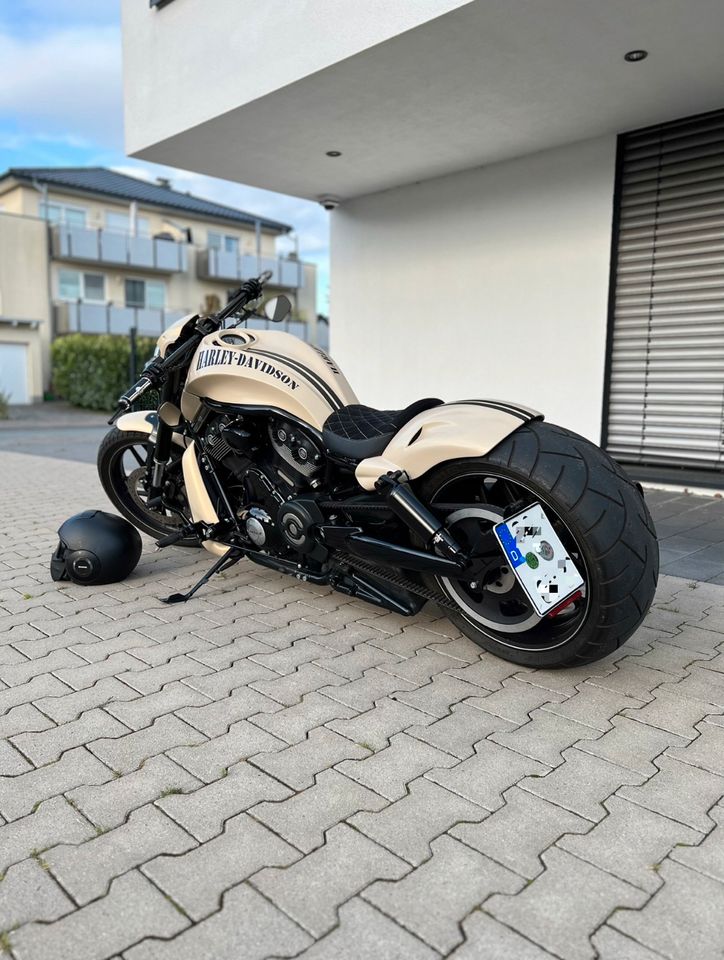 Harley Davidson Night Rod Special Sand Camo Jekill tief breit TÜV in Möhnesee