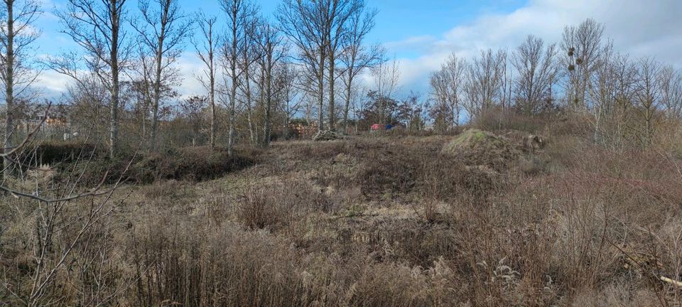 Gewerbegrundstück zur vielseitigen Nutzung in Mansfeld