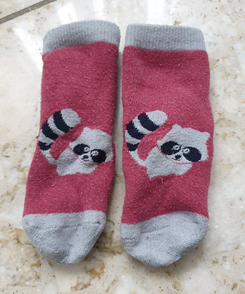 ABS- / Stoppersocken mit Waschbär von Babydream/Rossmann Gr.18-24 in  Hannover - Misburg-Anderten | Babykleidung Größe 80 kaufen | eBay  Kleinanzeigen ist jetzt Kleinanzeigen