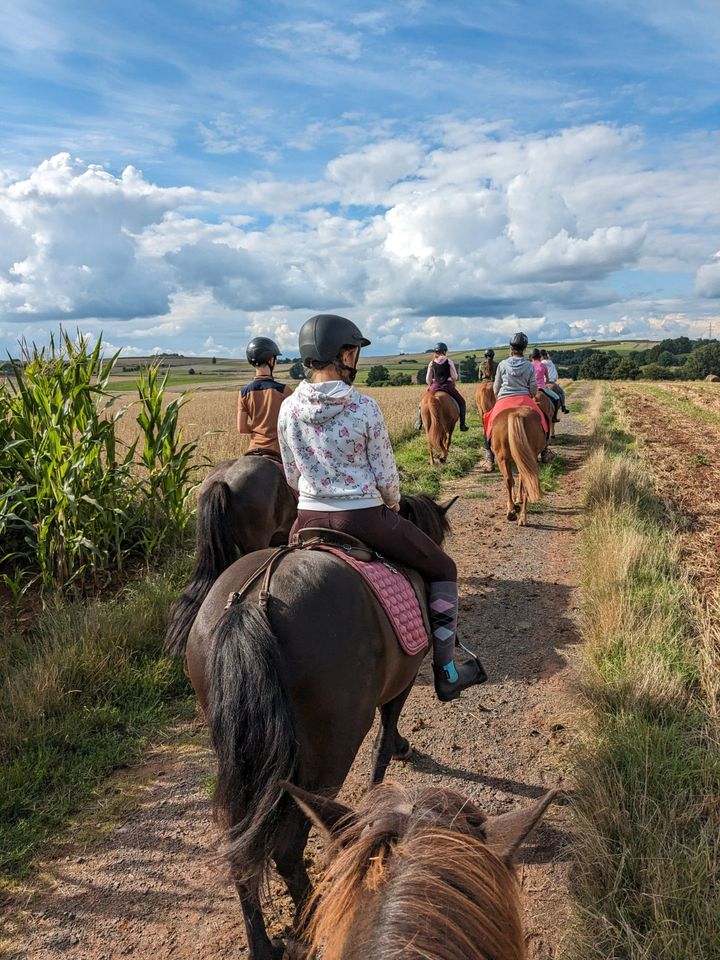 Kids - Wanderreitcamp' 24 mit Islandpferden in Münchhausen