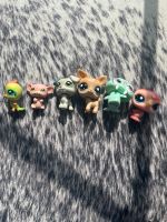 Littlest Petshop Tierchen Nordrhein-Westfalen - Halle (Westfalen) Vorschau