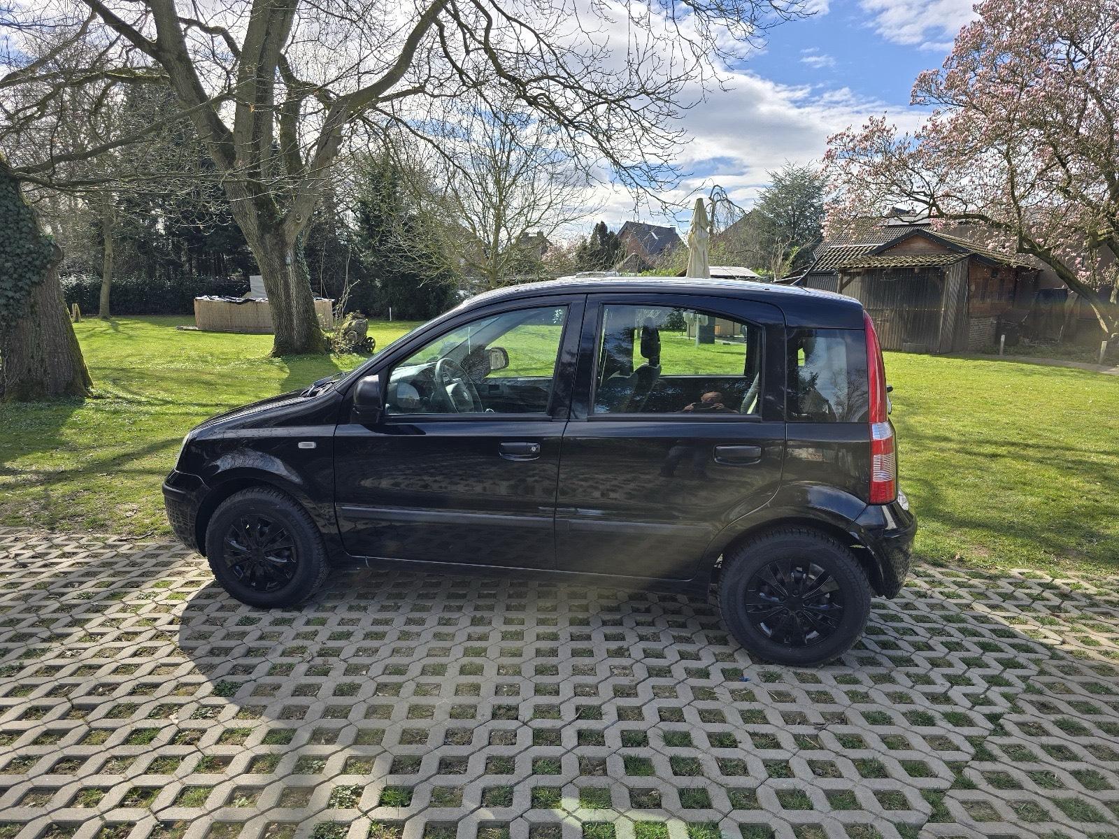 Abbildung des Autos Fiat Panda 1.2 8V Dynami…