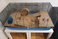 Hamsterkäfig Zwerghamster Goldhamster 100x55cm mit viel Zubehör Hörstel - Dreierwalde Vorschau