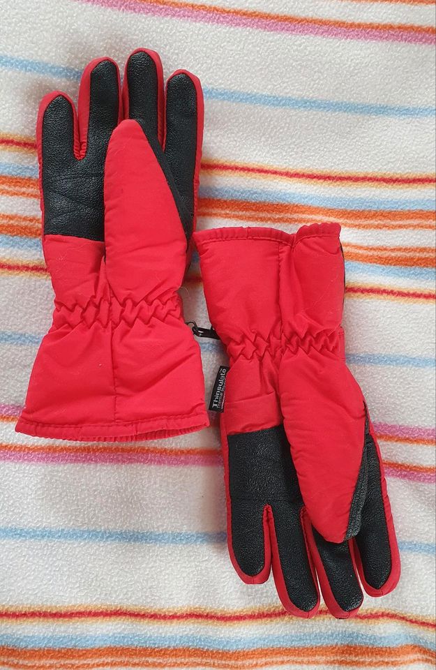 Handschuhe Fingerhandschuhe Skihandschuhe Ski Winter Thinsulate in Schwentinental