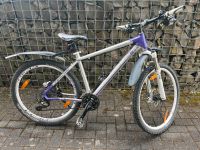 Haibike Life RX pro 26 Zoll Hardtail MTB Nordrhein-Westfalen - Siegen Vorschau