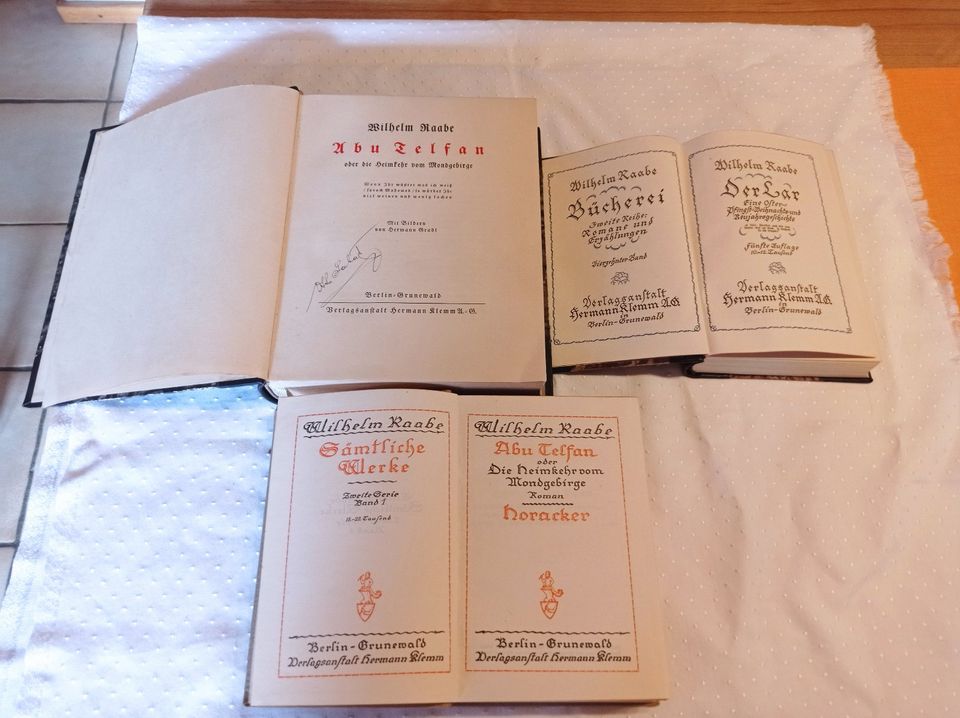 3 Bücher ,Wilhelm Raabe,Abu Telfan,Erzählungen,Geschichten in Hirschhorn