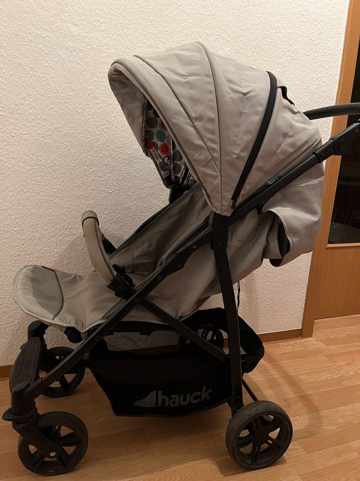 Hauck Buggy Fisher Price in Thalheim/Erzgebirge