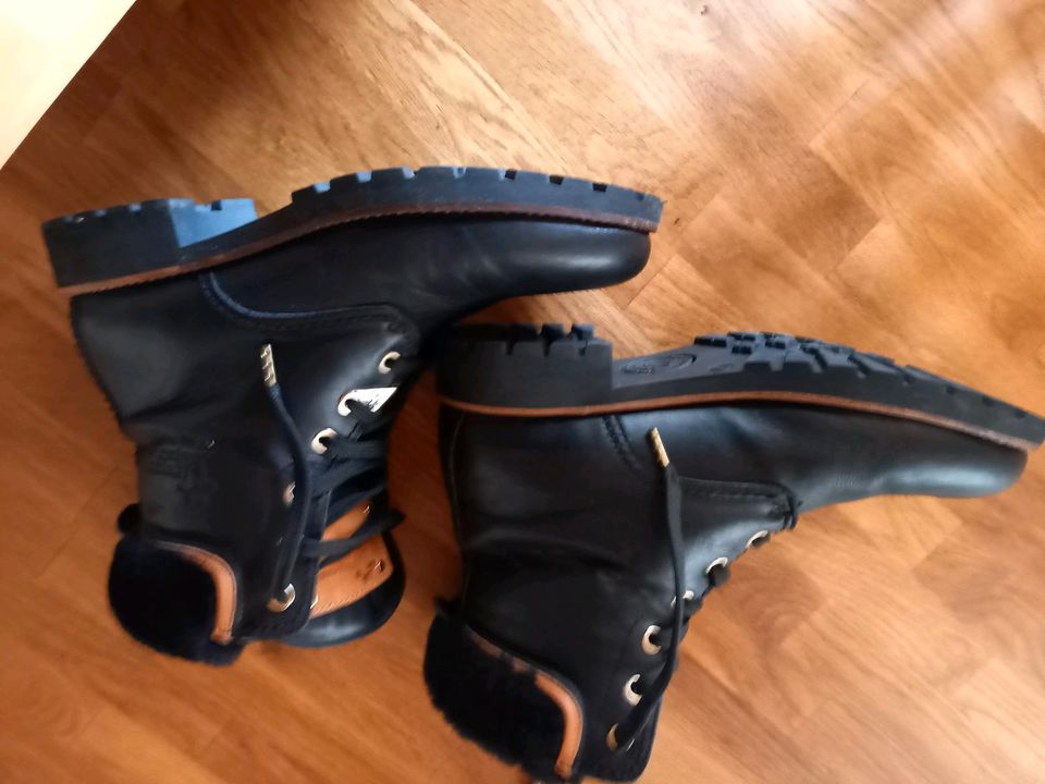 Panama Jack Winterstiefel gr. 37 -neuwertig- in Braunschweig