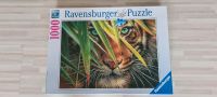Ravensburger  und Bluebird 1000 Puzzle Niedersachsen - Gifhorn Vorschau