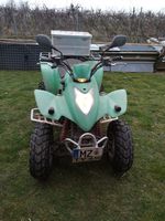 Kymco KXR 250 Quad Rheinland-Pfalz - Lörzweiler Vorschau