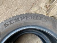 Winterreifen, 205/55 R 16 94 H, Semperit Speed-Grip 5 Rheinland-Pfalz - Bad Dürkheim Vorschau