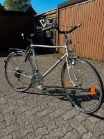 28er (ALPINA de Luxe) Retro Herren Fahrrad mit Patina Schleswig-Holstein - Flensburg Vorschau