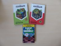 3 Minecraft-Bücher ~ Handbuch Entdecker Redstone Flucht Oberwelt Thüringen - Kölleda Vorschau