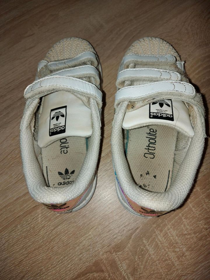 Adidas Kinder Sneaker Superstar Gr. 27 in Torgelow