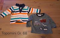 Sweatshirt Set von Topomini Gr. 68 Niedersachsen - Winsen (Luhe) Vorschau