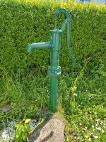 Wasserpumpe Gartendeko grün Rheinland-Pfalz - Mainz Vorschau