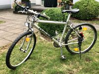Centurion Mountainbike Jugendfahrrad Silber Fahrrad Sportlenker Hessen - Bad Camberg Vorschau