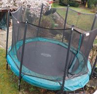 Trampolin, Marke Berg, 330cm Baden-Württemberg - Wendlingen am Neckar Vorschau