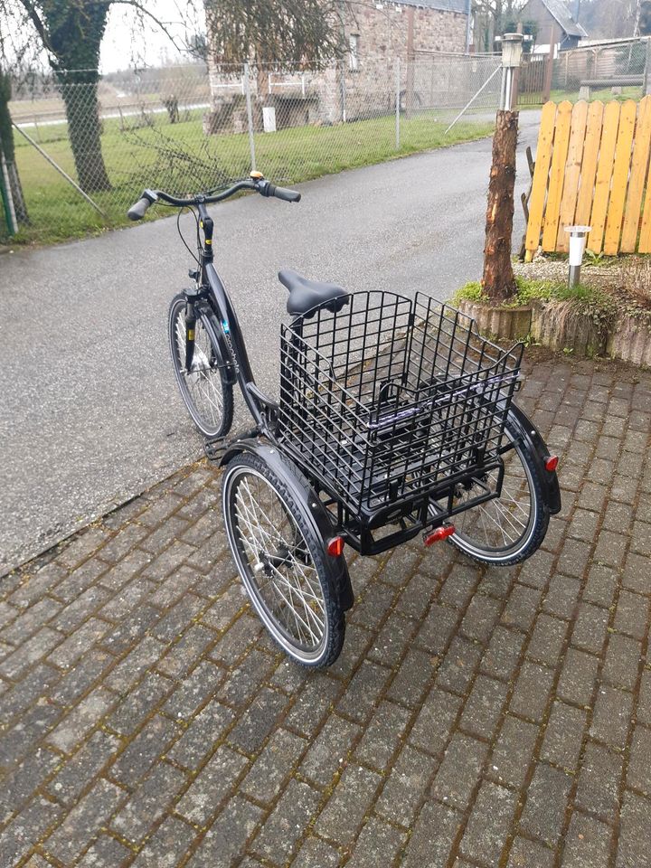 3 Rad Elektro Fahrrad Prophete in Pfalzfeld