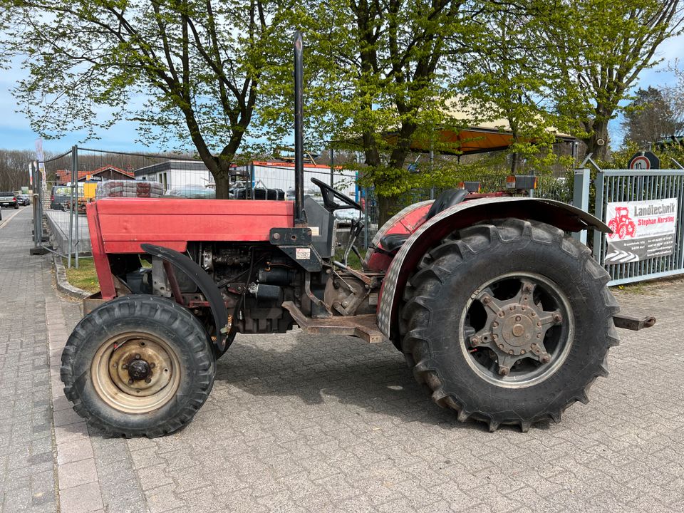 Massey Ferguson 174 - S Schmalspur Obstbau Traktor Schlepper in Marl