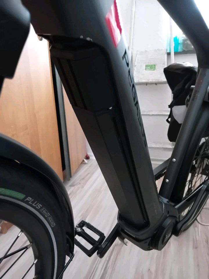 Verk.E Herren Bike Pegas.Strong EVO 9.VB.1400 in Wolfsburg