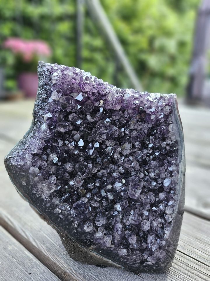 Amethyst Druse in Glückstadt