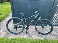 Fahrrad MTB Cube 29er Nordrhein-Westfalen - Steinheim Vorschau