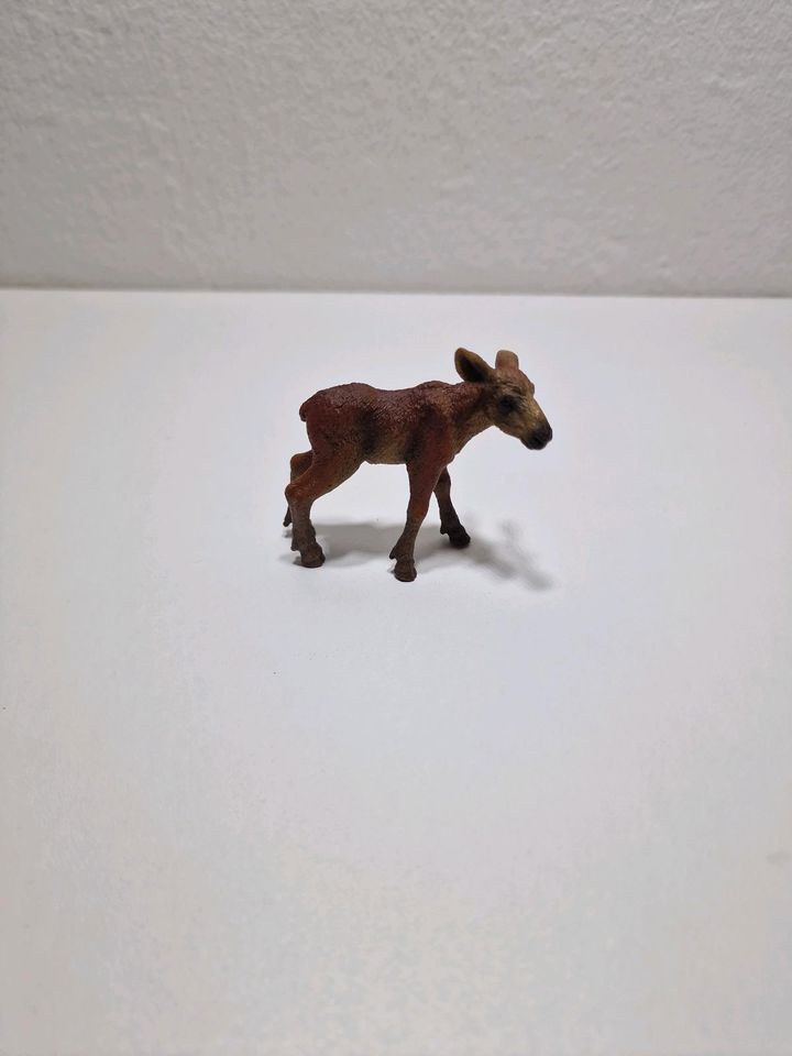 Schleich,Steinbock,Gemse,Alpaka,Lama,Schneeziege,Tapir,Gnu,Zebra. in Stuttgart