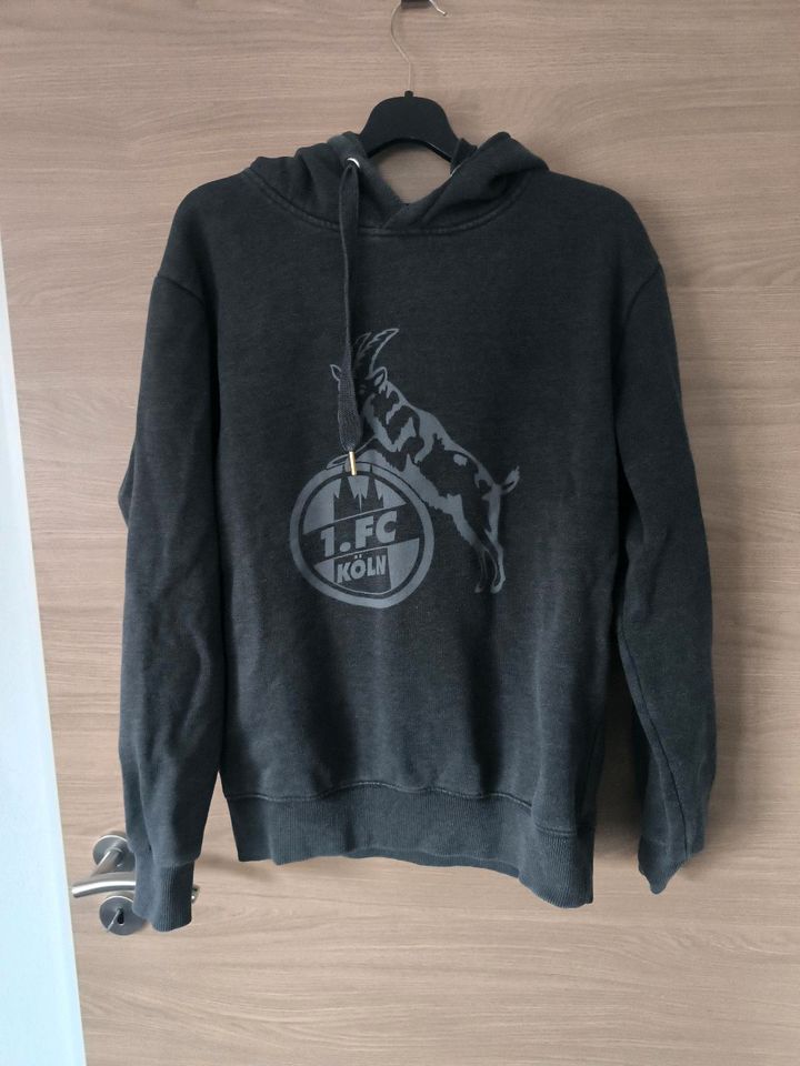 FC Köln Pullover in Weilerswist