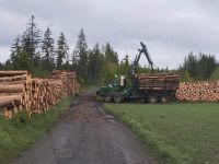 Holzeinschlag Käferholz Frischholz Stammholz Harvester Brennholz Bayern - Grafengehaig Vorschau