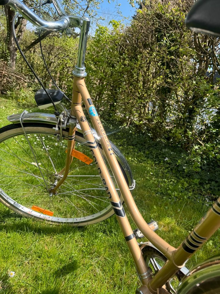 Union Gold Rad Fahrrad 28 Zoll vintage in Kasbach-Ohlenberg