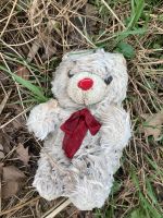 Kuscheltier gefunden Teddybär Rote Schleife Nase Weiß Nordrhein-Westfalen - Minden Vorschau