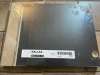 Ikea Kallax Einsatz mit Tür, schwarzbraun, 33x33 cm Hessen - Bruchköbel Vorschau