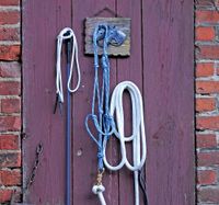 Horsemanship Set (Knotenhalfter, Führseil, Stick, String) Mecklenburg-Vorpommern - Drefahl Vorschau