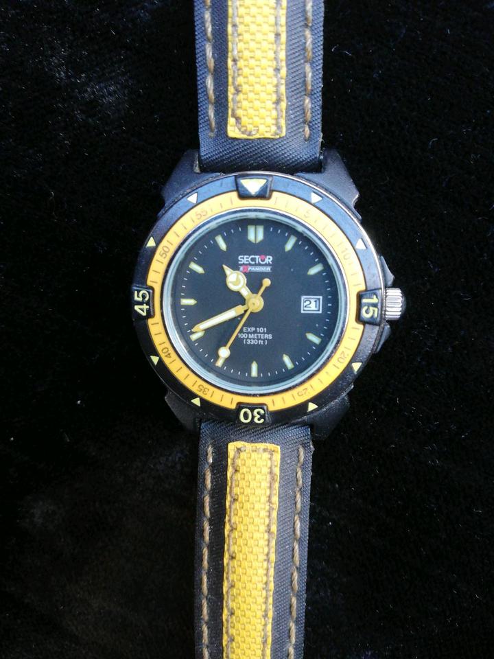 Sport Damen Uhr Sector Expander 101 EXP 101 in Baden Wurttemberg Herrenberg kleinanzeigen