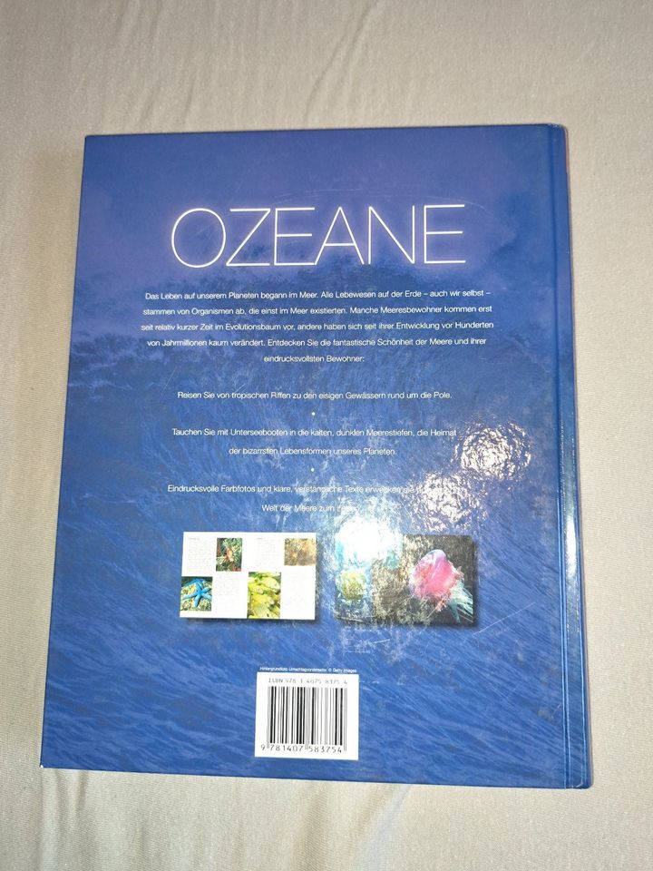 Wunder unserer Welt: Ozeane: Und ihre faszinierenden Unterwasserw in Celle