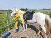 Pferd sucht Mensch - Pflege/Reitbeteiligung Baden-Württemberg - Bruchsal Vorschau