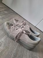 Puma Basket Baden-Württemberg - Obersontheim Vorschau