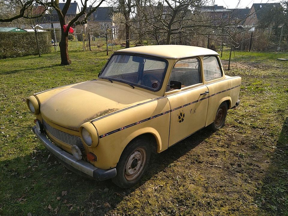 Trabant 601 mit Papier 2.85 in Muldestausee