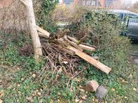 Feuerholz zu verschenken Bad Doberan - Landkreis - Bargeshagen Vorschau