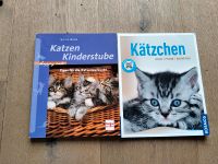 Babykatze Buch Katze Katzenerziehung Kitten Ratgeber Bayern - Schwabach Vorschau