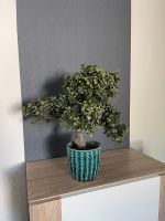 Bonsai Kunstpflanze künstlich 40 cm Niedersachsen - Braunschweig Vorschau